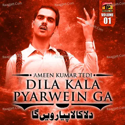 Dila Kala Pyarwein Ga, Vol. 1 - Ameen Kumar Tedi