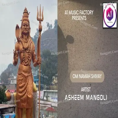 Asheem Mangoli Image