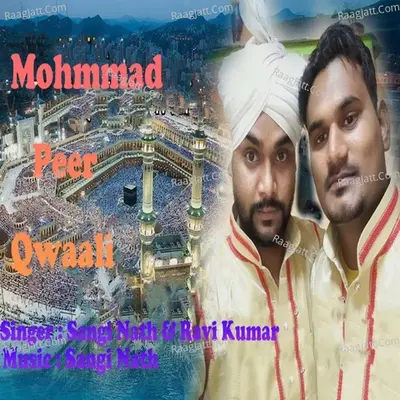 Mohmmad Peer Qwaali