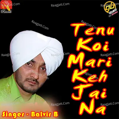 Tenu Koi Mari Keh Jai Na - Balvir B