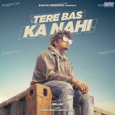 Tere Bas Ka Nahi Cover