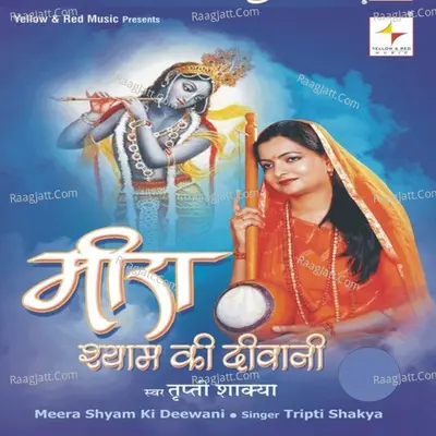 Meera Shyam Ki Deewani Poster