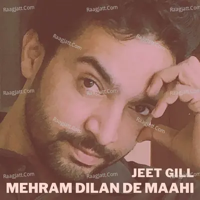 Mehram Dilan De Maahi