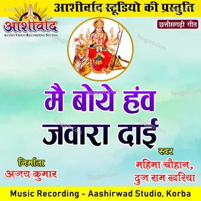 Mai Boye Hav Jawara Dai (Chhattisgarhi Jas Geet) Cover