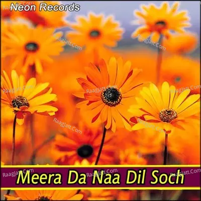 Meera Da Naa Dil Soch - Bhai Jagtar Singh Ji