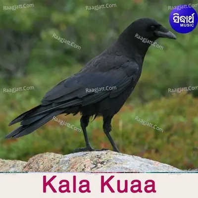 Kala Kuaa - 