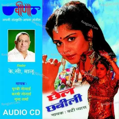 Chhail Chhabili Poster