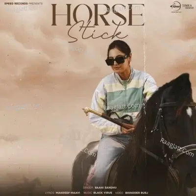 Horse Stick Cover