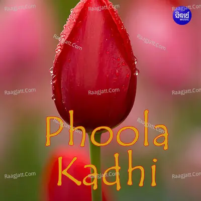 Phula Kadhi Poster