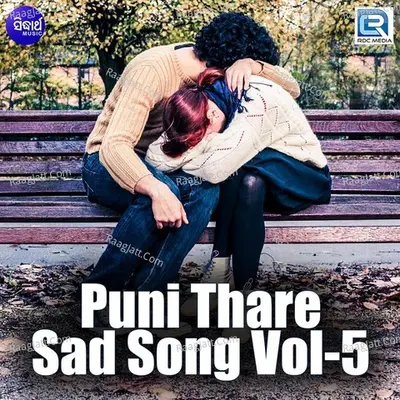 Puni Thare Sad Song Vol 5 - Namita Agarwal