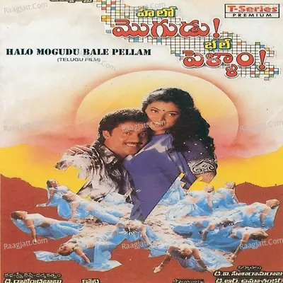 Halo Mogudu Bale Pellam - K. S. Chithra