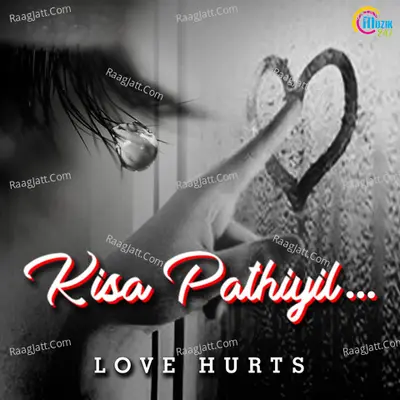 Love Hurts - Shaan Rehman