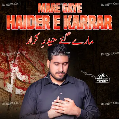 Mare Gaya Haider E Karrar Cover