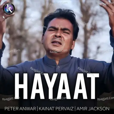 Hayaat Poster