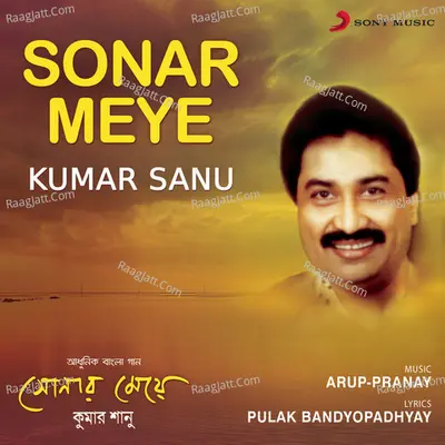 Sonar Meye Poster