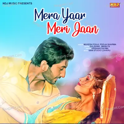 Mera Yaar Meri Jaan Cover