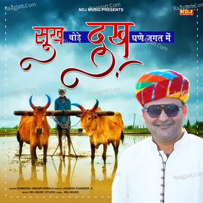 Sukh Thode Dukh Ghane Jagat Me Cover