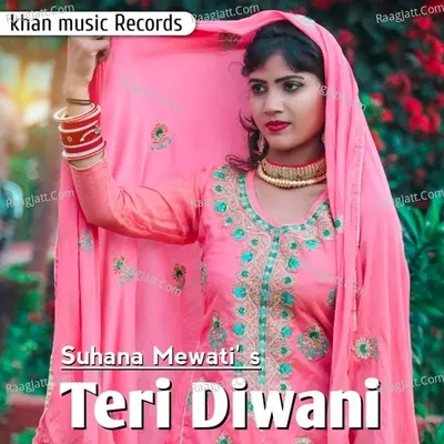 Teri Diwani Cover