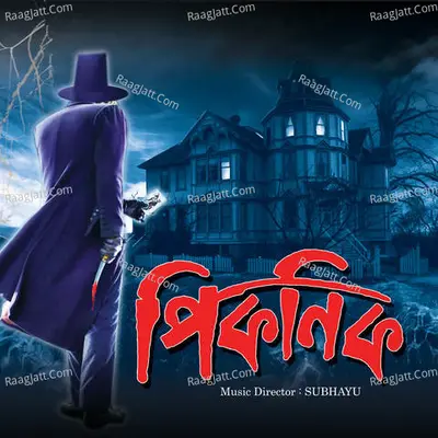 Picnic Poster