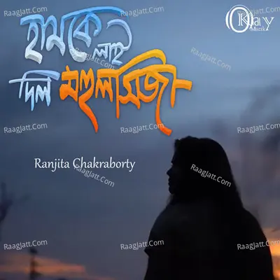 Hamke Lai Dil Mahulsija Cover