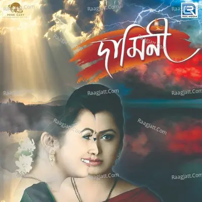 Damini Cover