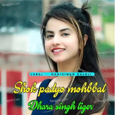 Hari Singh Baloli Image