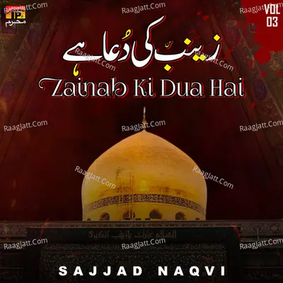 Zainab Ki Dua Hai, Vol. 3 Poster