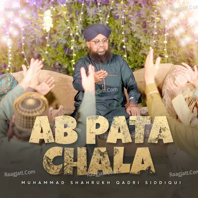 Muhammad Shahrukh Qadri Siddiqui