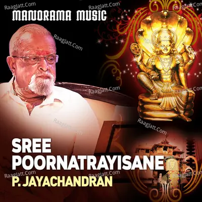 Kannan Tripunithura