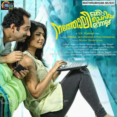 Natholi Oru Cheriya Meenalla Poster