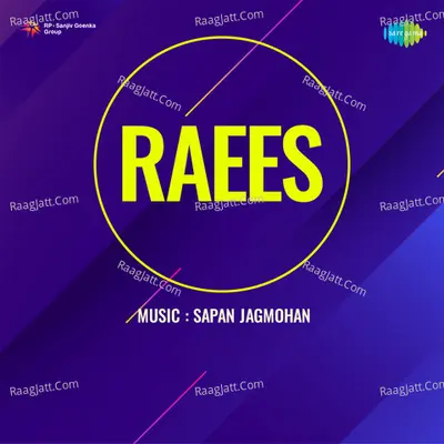 Raees Poster