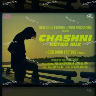 Chashni (Retro Mix) Cover