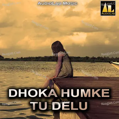 Dhoka Humke Tu Delu Poster
