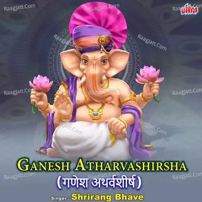 Shrirang Bhave Image