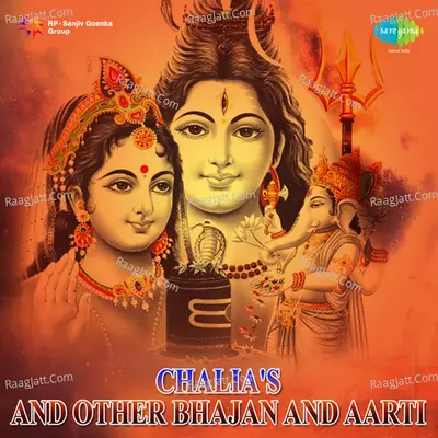 Durga Chalisa And Other Bhajans And Aarti Cover