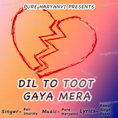 Dil To Toot Gaya Mera Cover