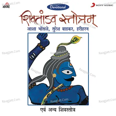 Shiv Tandav Stotram Poster