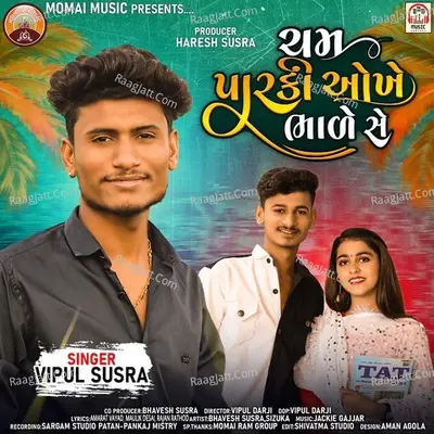 Cham Parki Okhe Bhade Se Poster