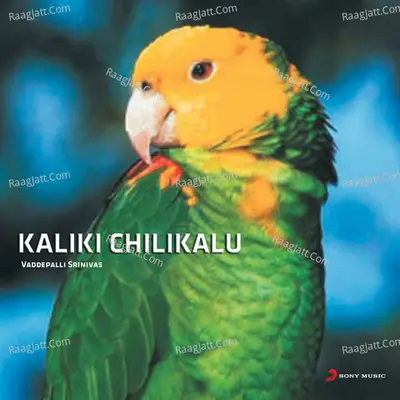 Kaliki Chilukalu - Vaddepalli Srinivas