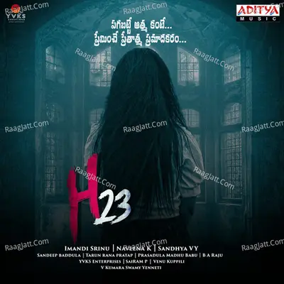 H23 - 