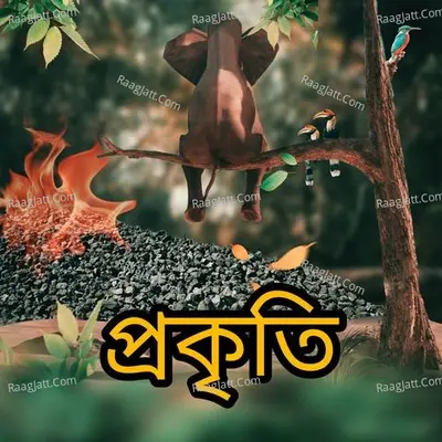 Prokriti Cover