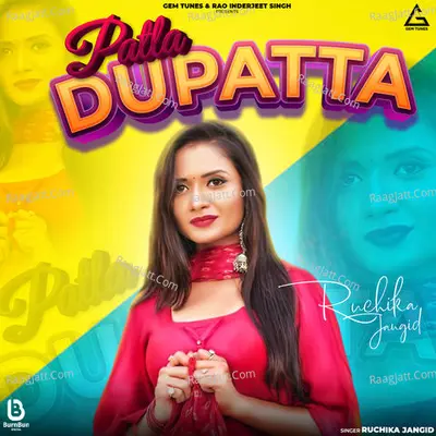 Patla Dupatta Cover
