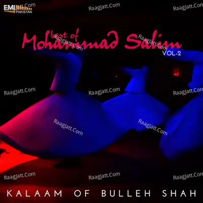 Best of Mohammad Salim, Vol. 2 - Mohammad Salim