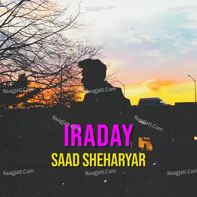 Saad Sheharyar Image