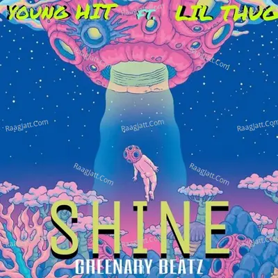Shine Cover