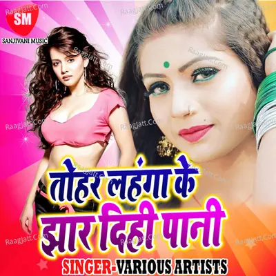 Tohar Lahanga Ke Jhar Dihi Pani Poster