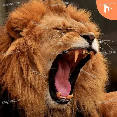 The_Ram - season - 1 - Ramanathan R