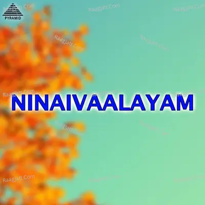 Ninaivaalayam (Original Motion Picture Soundtrack) - Vijay Anand