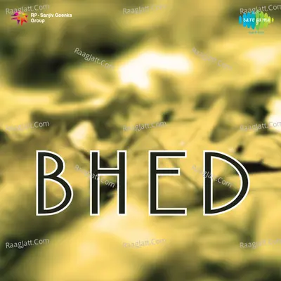 Bhed Poster