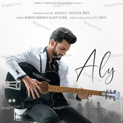 Aly Cover